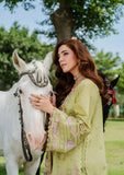 3 Piece Unstitched Heavy Embroidered Chickan Kari Lawn Suit ( Four-sided Embroidered Cotton Net Dupatta )EL-2720