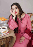 3 Piece Unstitched Heavy Embroidered Dhanak Suit with Embroidered Dhanak Wool Shawl AS15